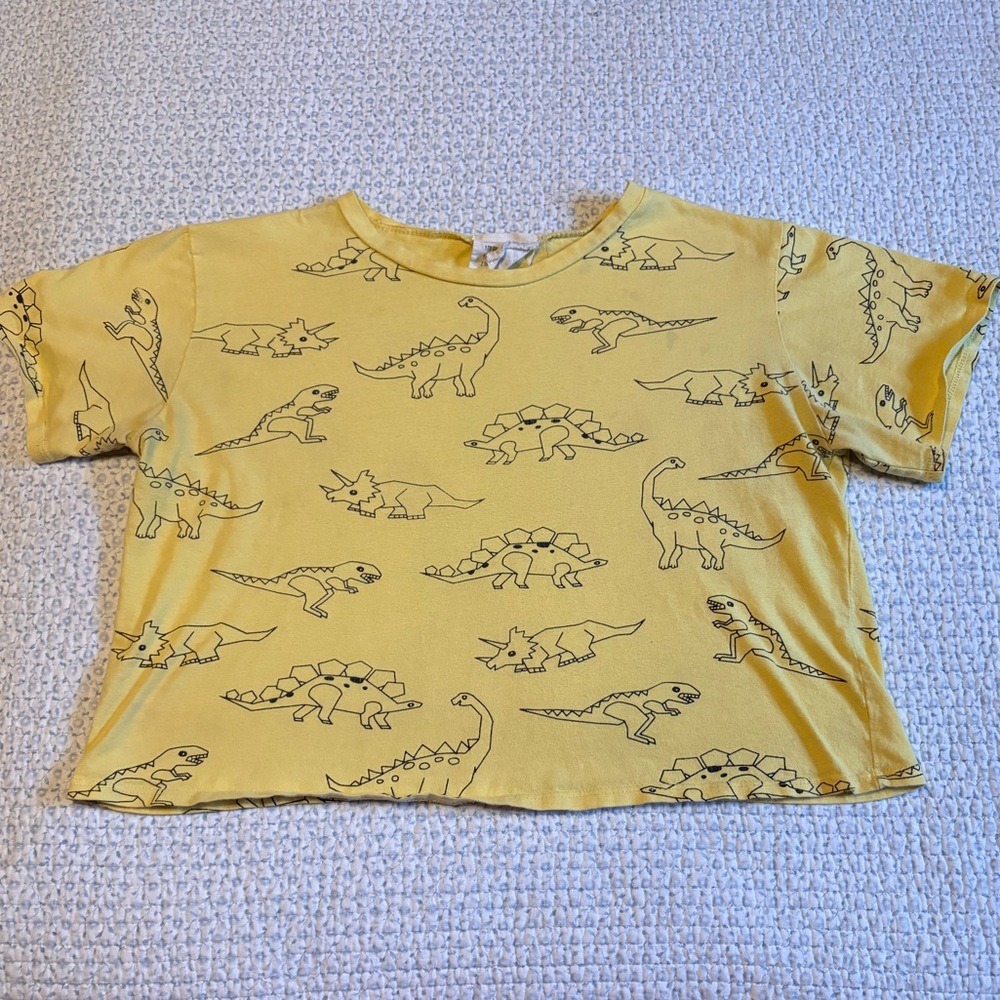 French Pastry Dinosaur Crop T-shirt